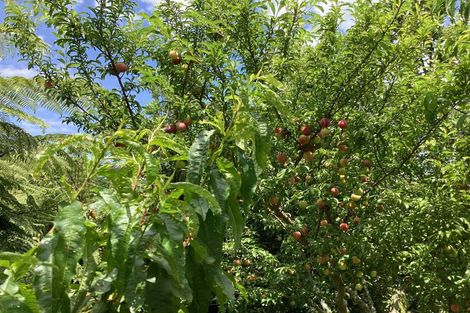 Photo of property in 5a Tui Grove, Oakura, 4314