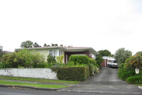 Photo of property in 119 Wellington Street, Pukekohe, 2120