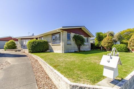 Photo of property in 29 Shortland Street, Tamatea, Napier, 4112