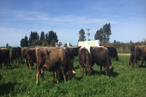 Photo of property in 27 Laings Road, Tinwald, Ashburton, 7775