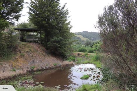 Photo of property in 356 Hailes Road, Whananaki, Hikurangi, 0181