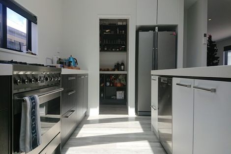 Photo of property in 67 Mary Ellen Street, Pegasus, 7612