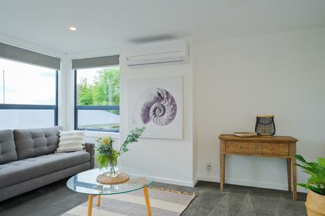 Photo of property in 8 Ballance Street, Caversham, Dunedin, 9011