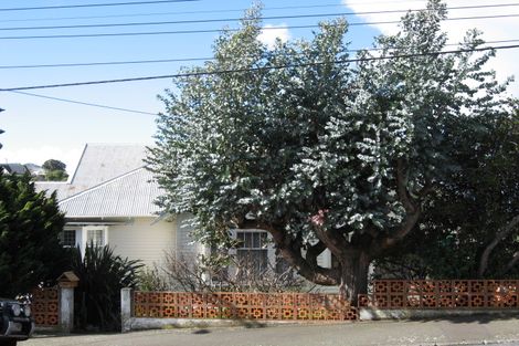 Photo of property in 167 Moxham Avenue, Hataitai, Wellington, 6021