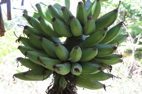 Photo of property in 46 James Street, Coromandel, 3506