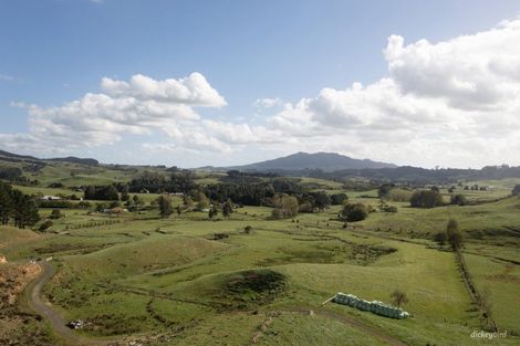 Photo of property in 201 Pond Road, Raglan, 3295