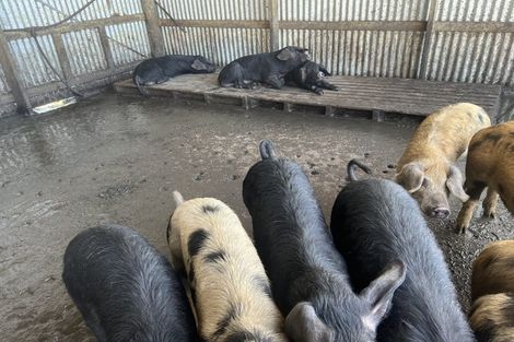 Photo of property in 492 Wairere Road, Paparoa, 0571