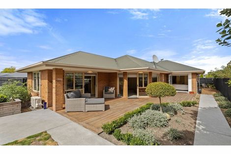 Photo of property in 3 Magnolia Lane, St Albans, Christchurch, 8052