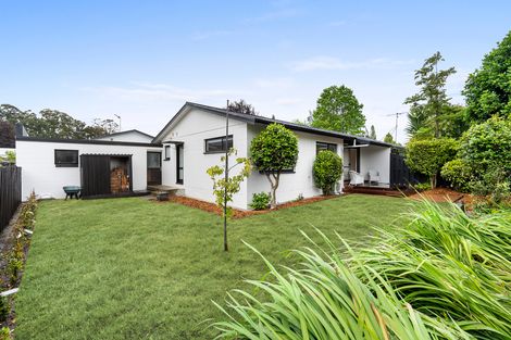 Photo of property in 82 Princes Street, Cambridge, 3434