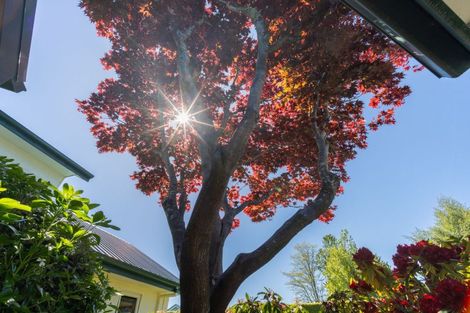 Photo of property in 73 Sandy Brown Road, Te Anau, 9679