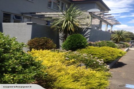 Photo of property in 16 Freyberg Street, Roslyn, Palmerston North, 4414