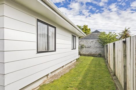 Photo of property in 31b Seddon Street, Takaro, Palmerston North, 4412