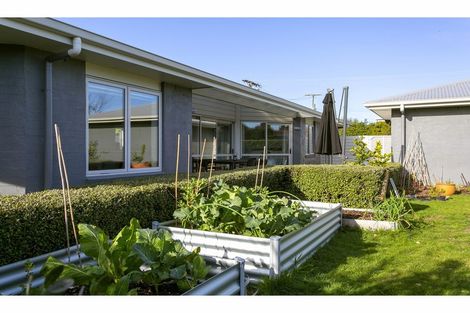 Photo of property in 54 Wheretia Street, Taupo, 3330
