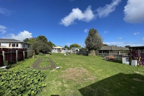 Photo of property in 75 Larnoch Road, Henderson, Auckland, 0610