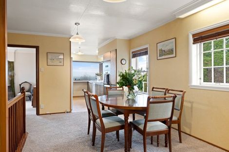 Photo of property in 3 Falcon Street, Roslyn, Dunedin, 9010