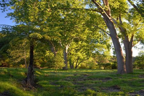 Photo of property in 136 Pohangina Valley Road East, Ashhurst, 4884