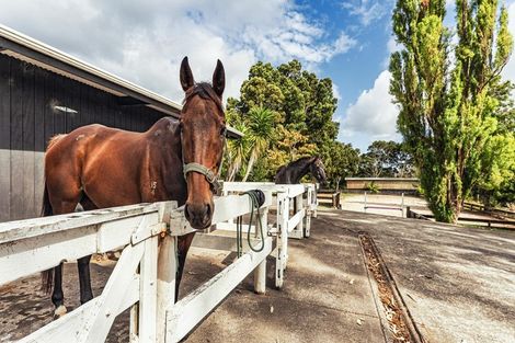 Photo of property in 224e Bawden Road, Dairy Flat, Albany, 0792