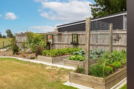 Photo of property in 27 Gimson Street, Solway, Masterton, 5810