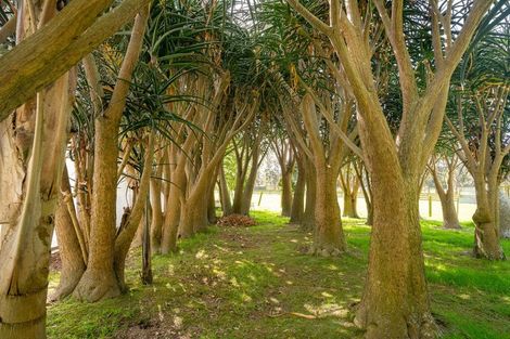 Photo of property in 48 Elizabeth Street, Waikanae, 5036