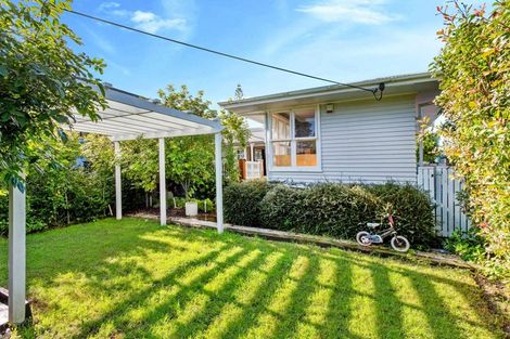 Photo of property in 15 Kingdale Road, Henderson, Auckland, 0610