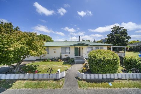 Photo of property in 127 Stanford Street North, Ashhurst, 4810