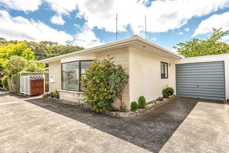 Photo of property in 19b Fergusson Street, Springvale, Whanganui, 4501