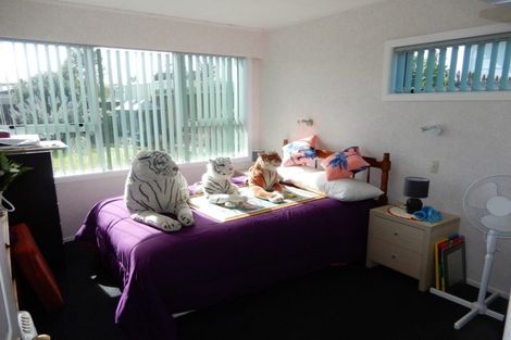 Photo of property in 113 Buckland Street, Putaruru, 3411