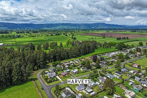 Photo of property in 49 Carroll Street, Waharoa, 3401