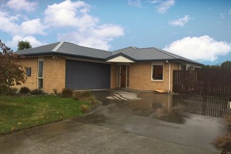 Photo of property in 41 Welsford Street, Woodend, 7610