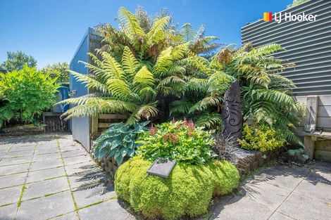 Photo of property in 12 Magazine Road, Mosgiel, 9092