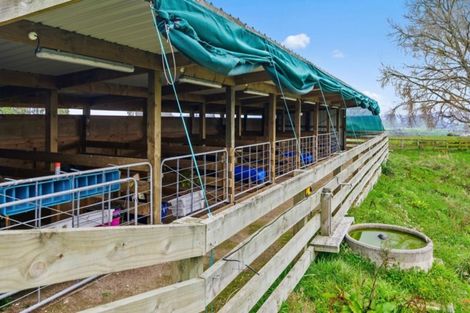 Photo of property in 271 Rawhiti Road, Reporoa, 3081