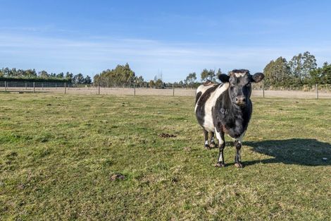 Photo of property in 596 Foothills Road, Okuku, 7473