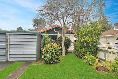 Photo of property in 111 Tutaenui Road, Marton, 4710