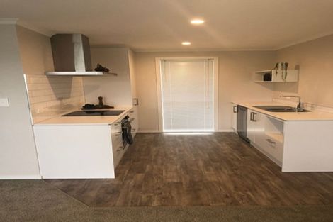 Photo of property in 89 Hinemoa Street, Levin, 5510