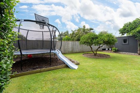 Photo of property in 31 Roosevelt Street, Levin, 5510