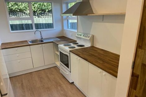 Photo of property in 1/109 Brougham Street, Addington, Christchurch, 8024