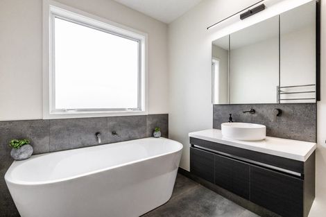 Photo of property in Lyndhurst Road, Frimley, Hastings, 4120