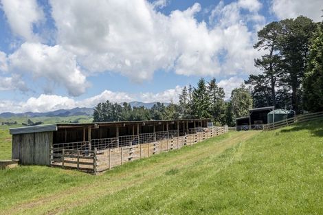 Photo of property in 196 Clinton-makaretu Road, Ashley Clinton, Takapau, 4286