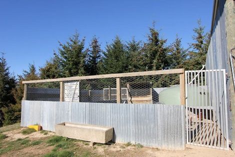 Photo of property in 160 Mann Road, Woodside, Outram, 9073