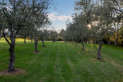 Photo of property in 253 Horseshoe Bush Road, Dairy Flat, Albany, 0794