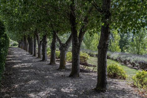Photo of property in 41 Vineyard Lane, Waipara, Amberley, 7483