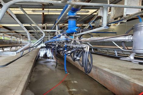 Photo of property in 55 Smiths Road, Matua, Tauranga, 3110