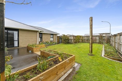 Photo of property in 53 Seyton Street, Stratford, 4332