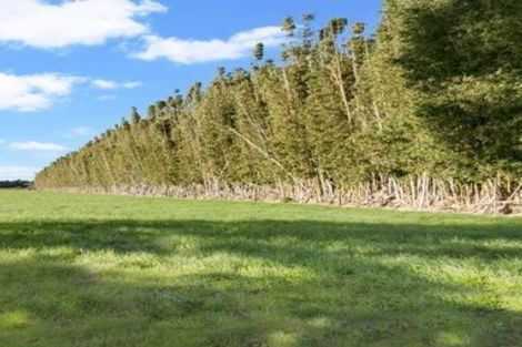 Photo of property in 783 Waitakere Road, Kumeu, 0891