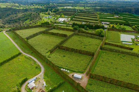 Photo of property in 837b Pyes Pa Road, Pyes Pa, Tauranga, 3173