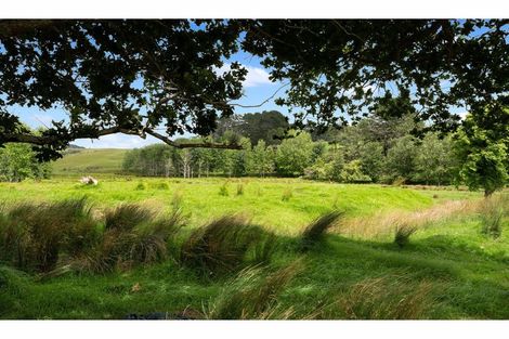 Photo of property in 5 Hutchinson Road, Helensville, 0875