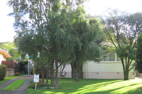 Photo of property in 100 Paraonui Road, Tokoroa, 3420