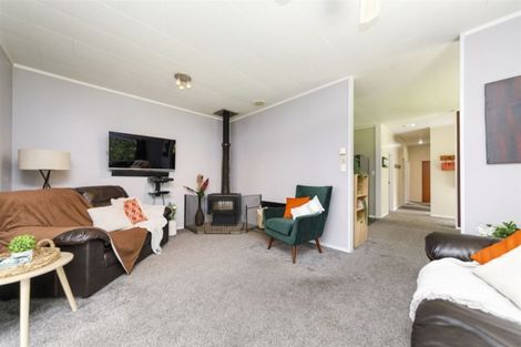 Photo of property in 260 Cambridge Avenue, Ashhurst, 4810