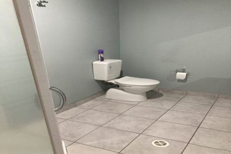 Photo of property in 3c Scotland Place, Hillcrest, Hamilton, 3216