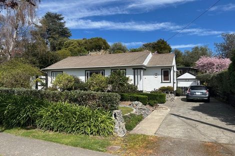 Photo of property in 40 Plassey Street, Havelock North, 4130